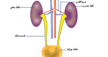 احجزلى دكتور